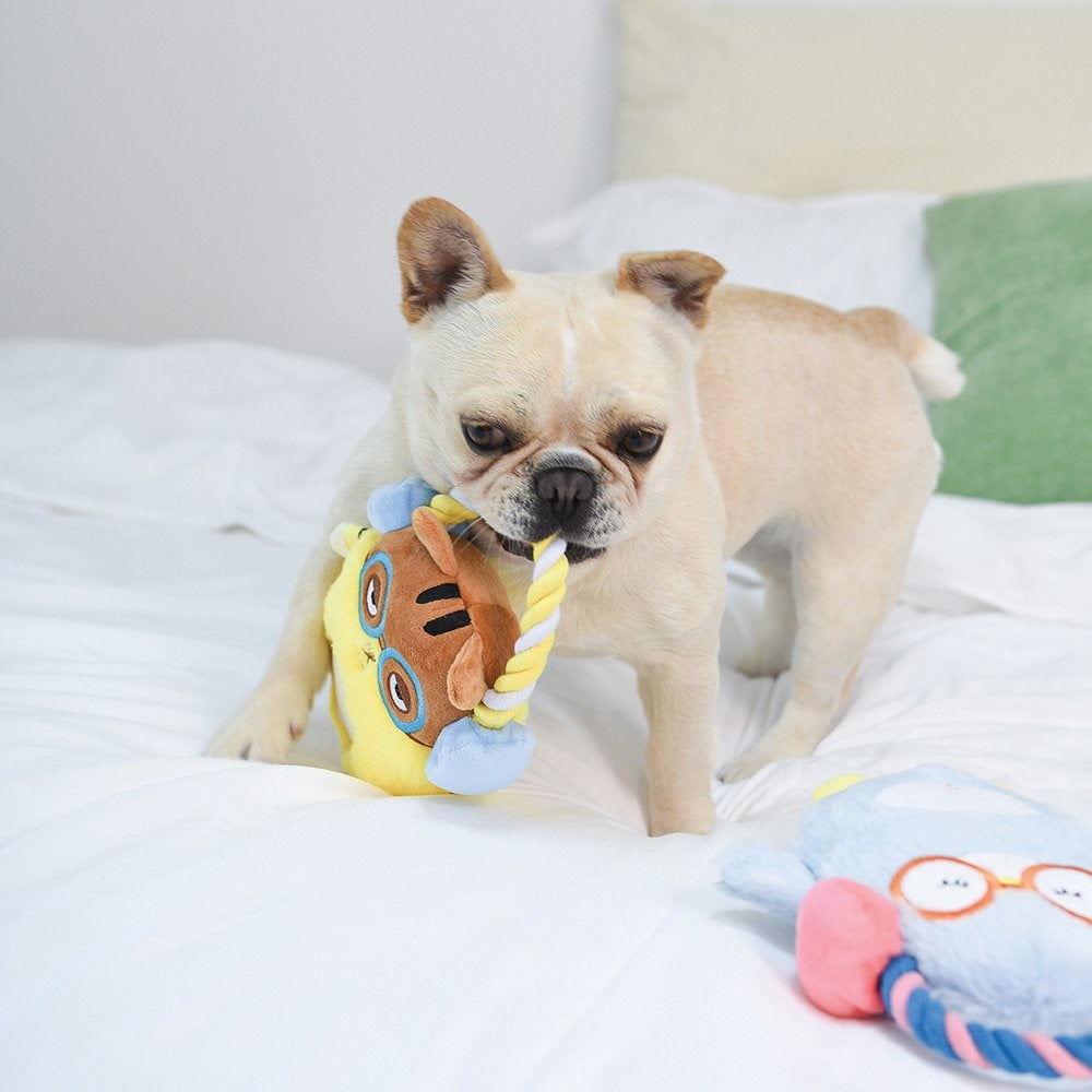 Plush Dog Toys