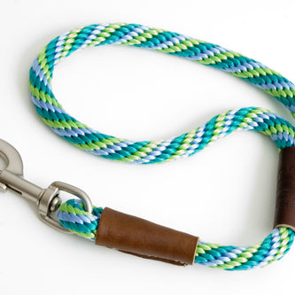 Mendota Traffic Leash