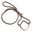 Mendota Dog/Walker Martingale Leash 10mm x 1.2m