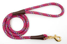 Mendota Pet Large Clip Leash - Size 13mm x 1.2m