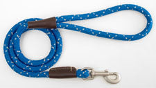 Mendota Pet Large Clip Leash - Size 13mm x 1.2m