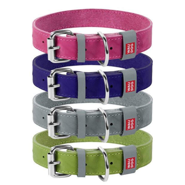 WAUDOG Classic Leather Dog Collar Large