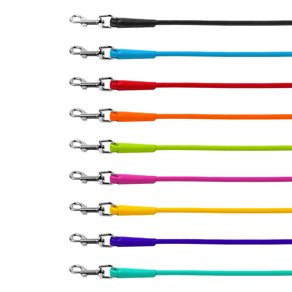 Waudog Adjustable Leather Leash - Mint image