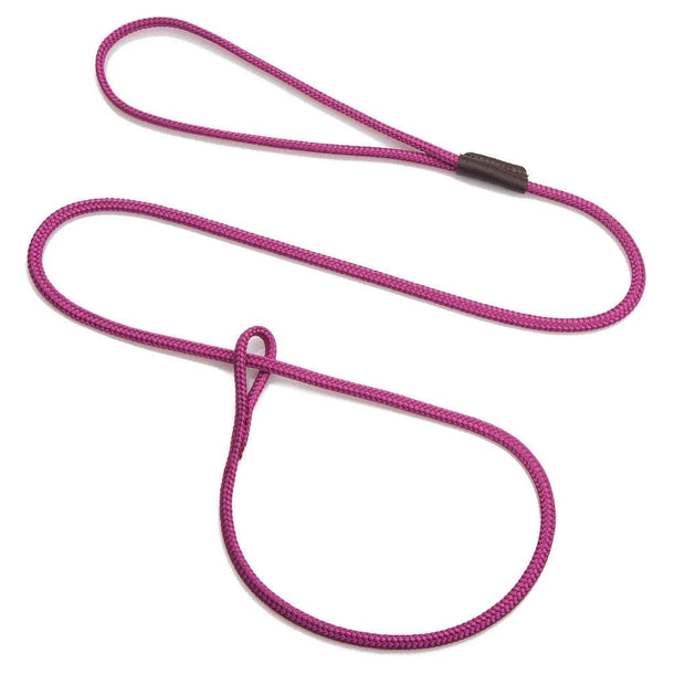Mendota Show Loop Leash - Raspberry image