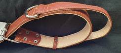 Waudog Leather Doublecollar 53 - Width 35mm -Length 45-53cm