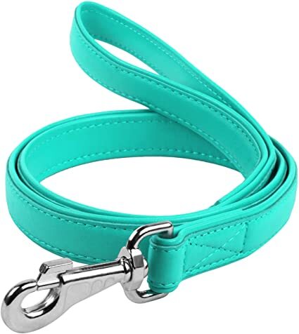 Waudog Leather Snap Leash 9mm - Mint image