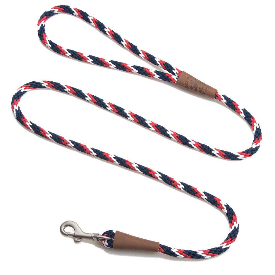 Mendota Pet Small Clip Leash 10mm x 1.8m - Tricolour Pride image