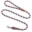 Mendota Pet Small Clip Leash 10mm x 1.8m - Tricolour Pride image
