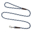 Mendota Pet Small Clip Leash 10mm x 1.8m - Twist Arctic Blue image