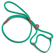 Mendota Pet Dog/Walker Leash 10mm x 1.8m - Kelly Green image
