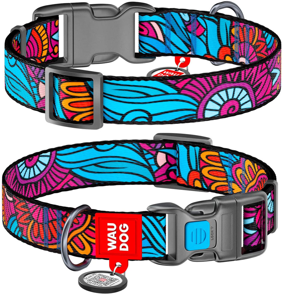 WAUDOG Nylon Collar Summer image 0