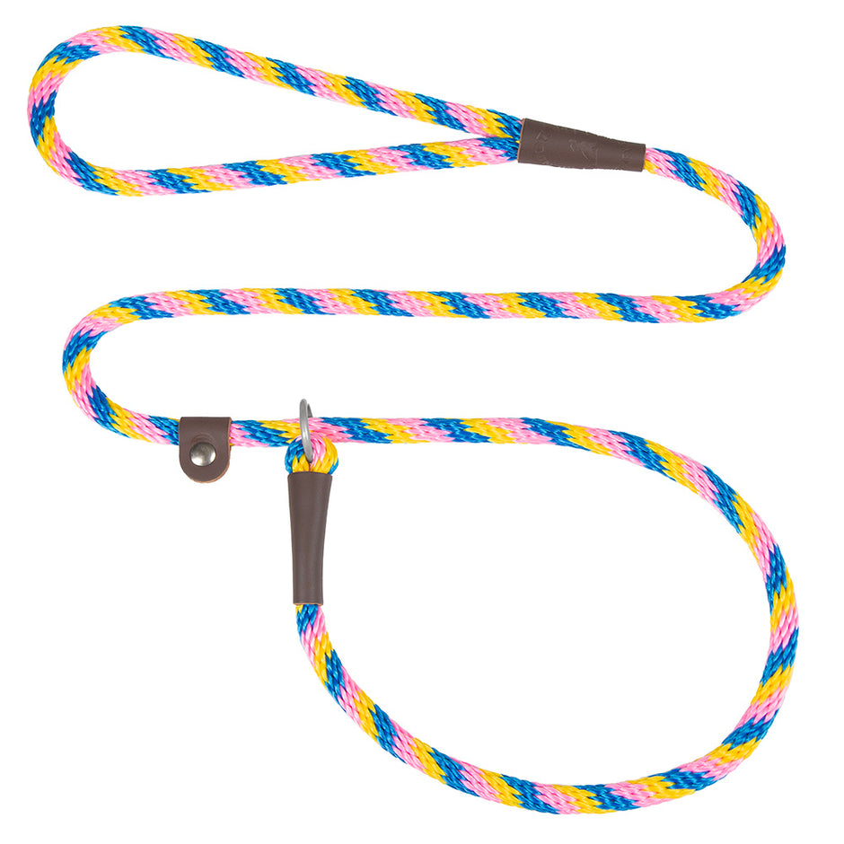 Mendota British Style Small Slip Leash 10mm x 1.8m - Beach Ball image