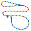 Mendota British Style Small Slip Leash 10mm x 1.8m - Beach Ball image