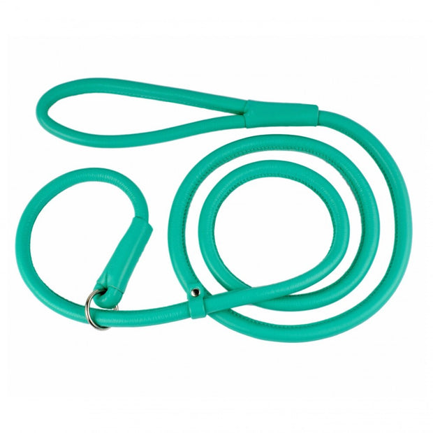 Waudog Glamour Leather Slip-Leash 4mm - Mint image