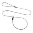 Mendota Show Slip Leash - Silver image