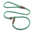Mendota British Style Small Slip Leash 10mm x 1.8m - Twist - Seafoam image