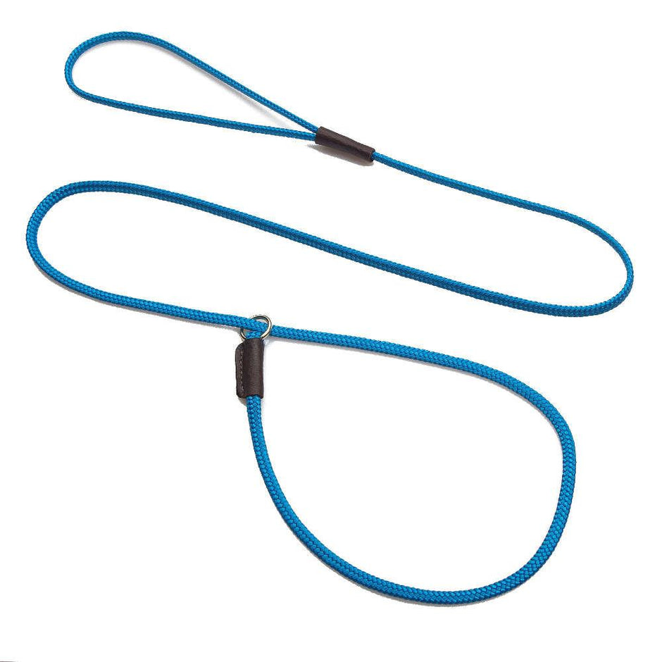 Mendota Show Slip Leash - Blue image