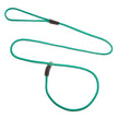 Mendota Show Slip Leash - Kelly Green image