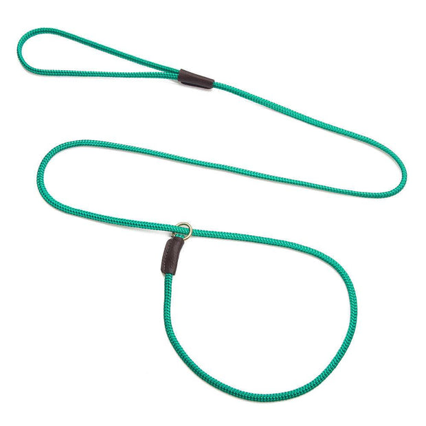 Mendota Show Slip Leash - Kelly Green image