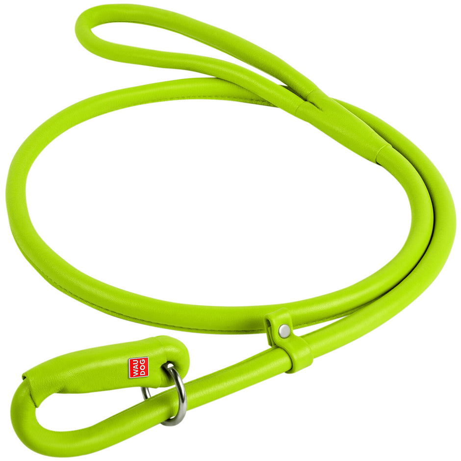Waudog Leather Slip Leash 6mm - Green image