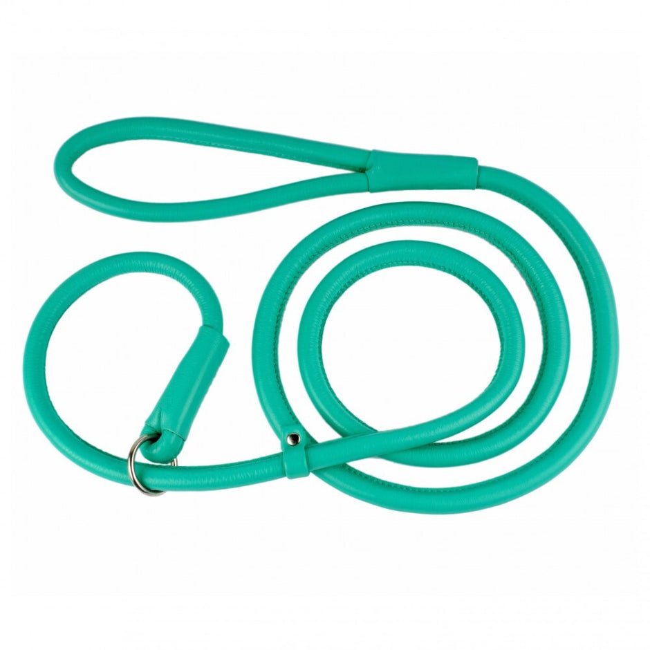 Waudog Leather Slip Leash 6mm - Mint image