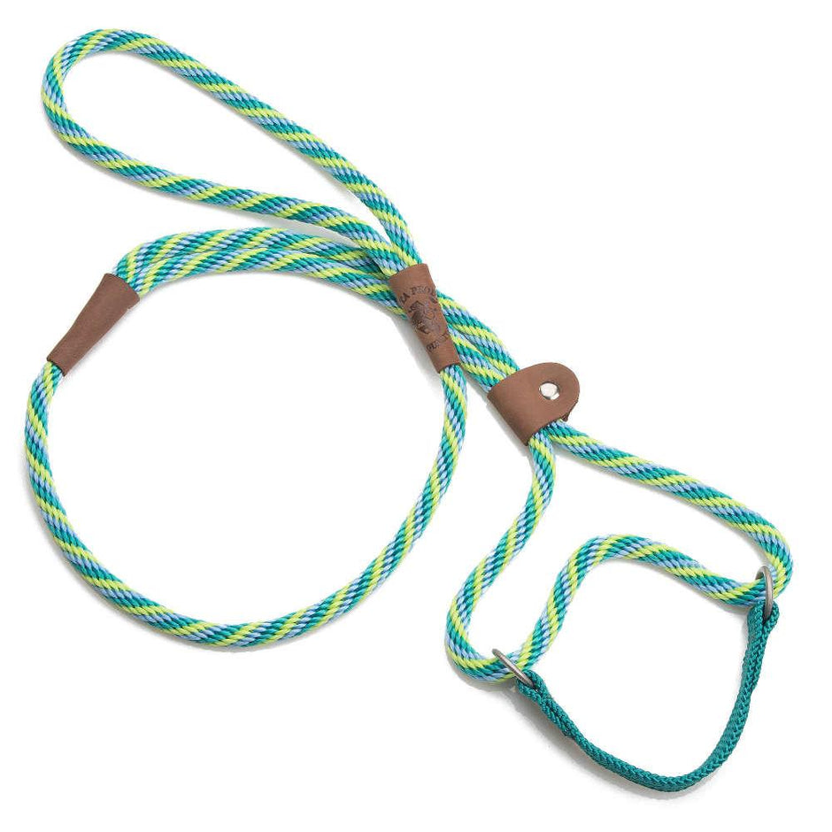 Mendota Pet Dog/Walker Leash 10mm x 1.8m - Twist - Seafoam image