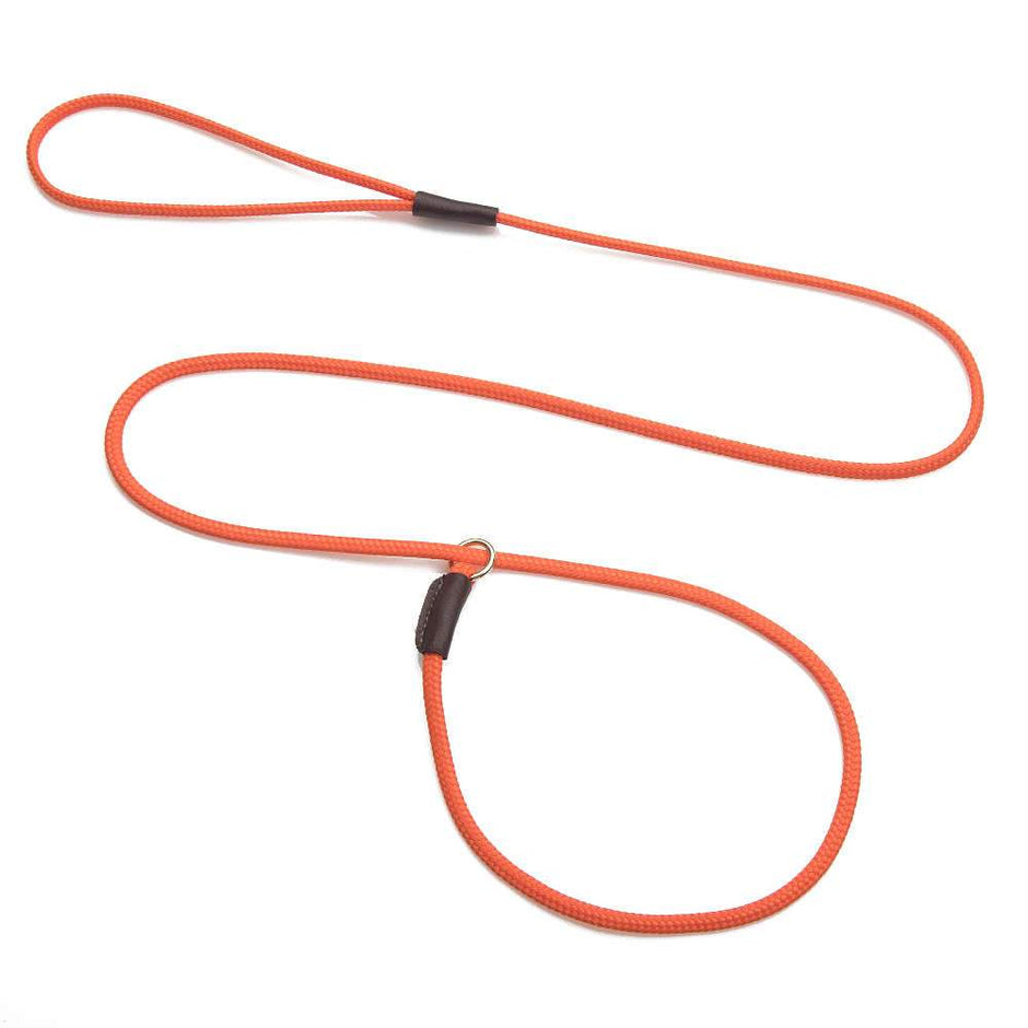 Mendota Show Slip Leash - Orange image
