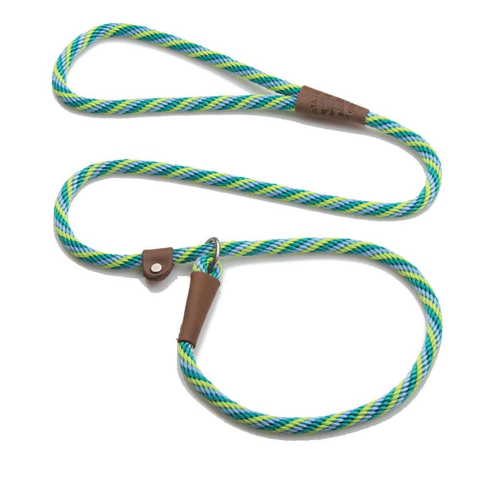 Mendota British Style Small Slip Leash 10mm x 1.2m - Twist - Seafoam image