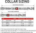 WAUDOG Nylon Collar Vitrage