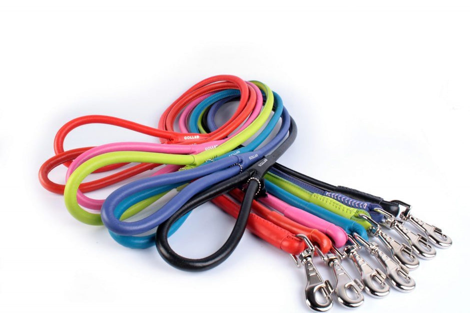 Waudog Round Leather Clip Leash - Size: Width : 4mm Length 183cm