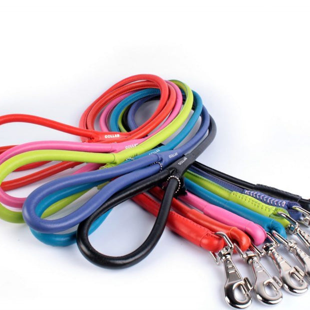 Waudog Round Leather Clip Leash - Size: Width : 4mm Length 183cm