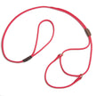 Mendota Pet Martingale Show Leash Small - Red image