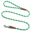 Mendota Pet Small Clip Leash 10mm x 1.8m - Tricolour Ivy image