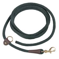 Mendota Pet EZ-Trainer Leash