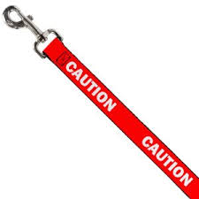  Buckle Down Reactive Warning Dog Leash Caution