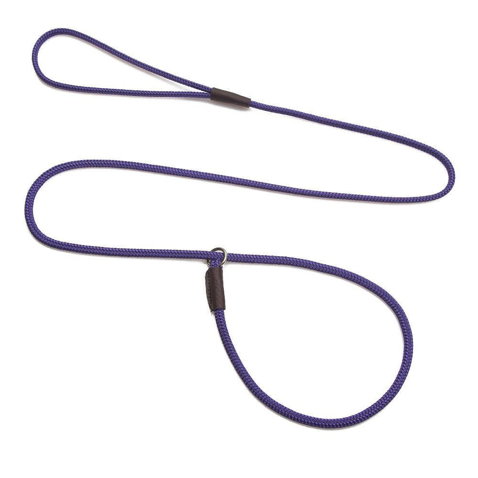 Mendota Show Slip Leash - Purple image