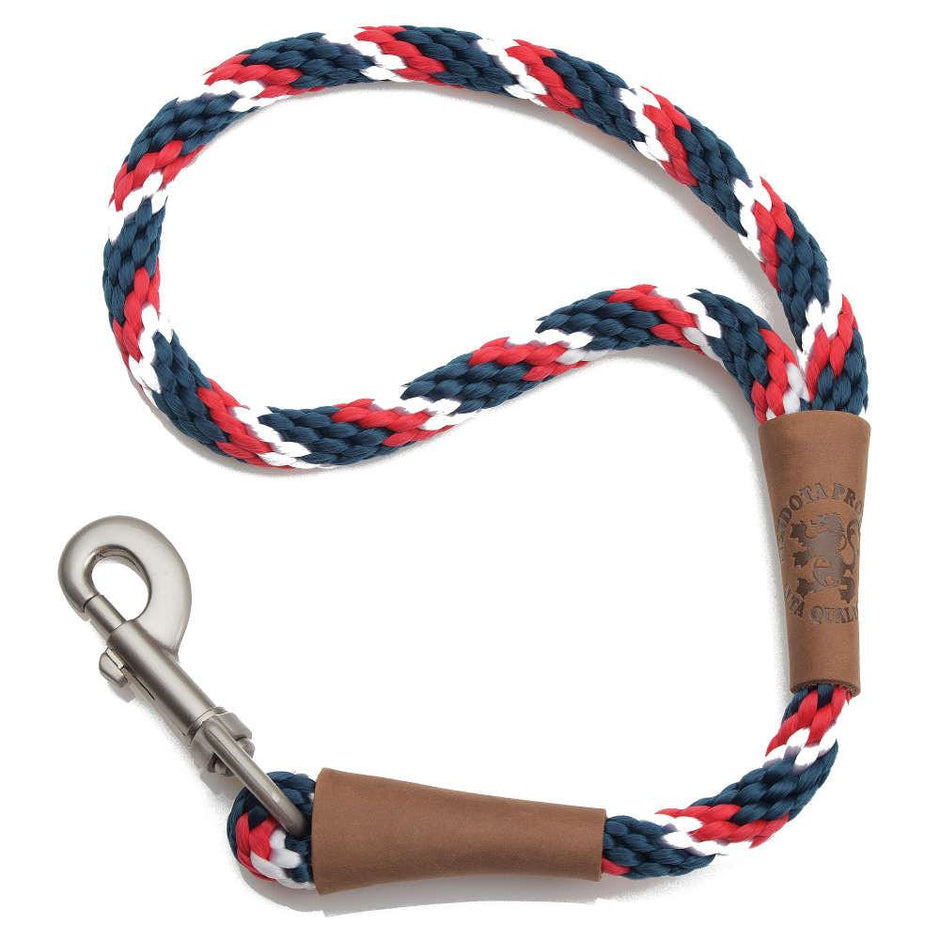 Mendota Traffic Leash Large - Tricolour Pride image