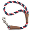 Mendota Traffic Leash Large - Tricolour Pride image