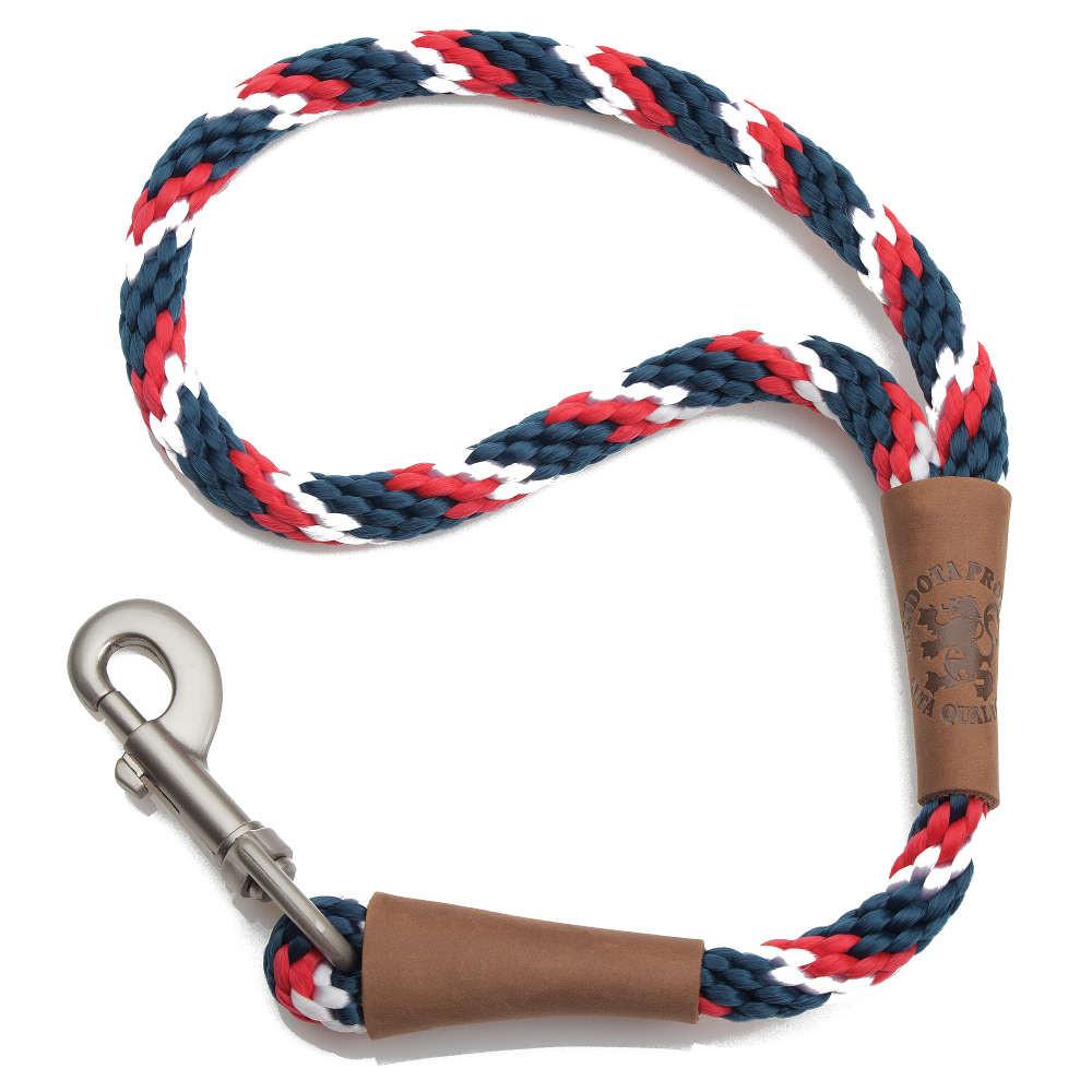 Mendota Traffic Leash Large - Tricolour Pride image