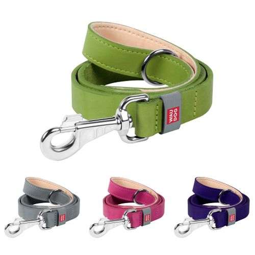 Waudog Classic Leather Clip-Leash - width 25mm image 0