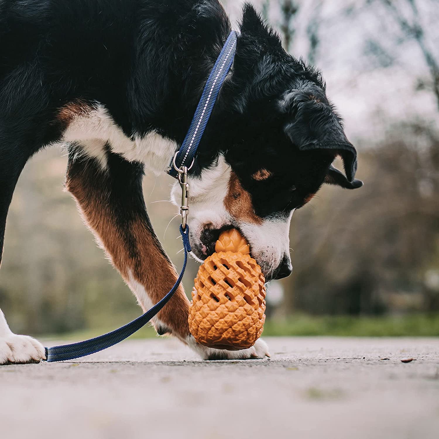 Herm Sprenger Dog Toy- Fruit Challenge