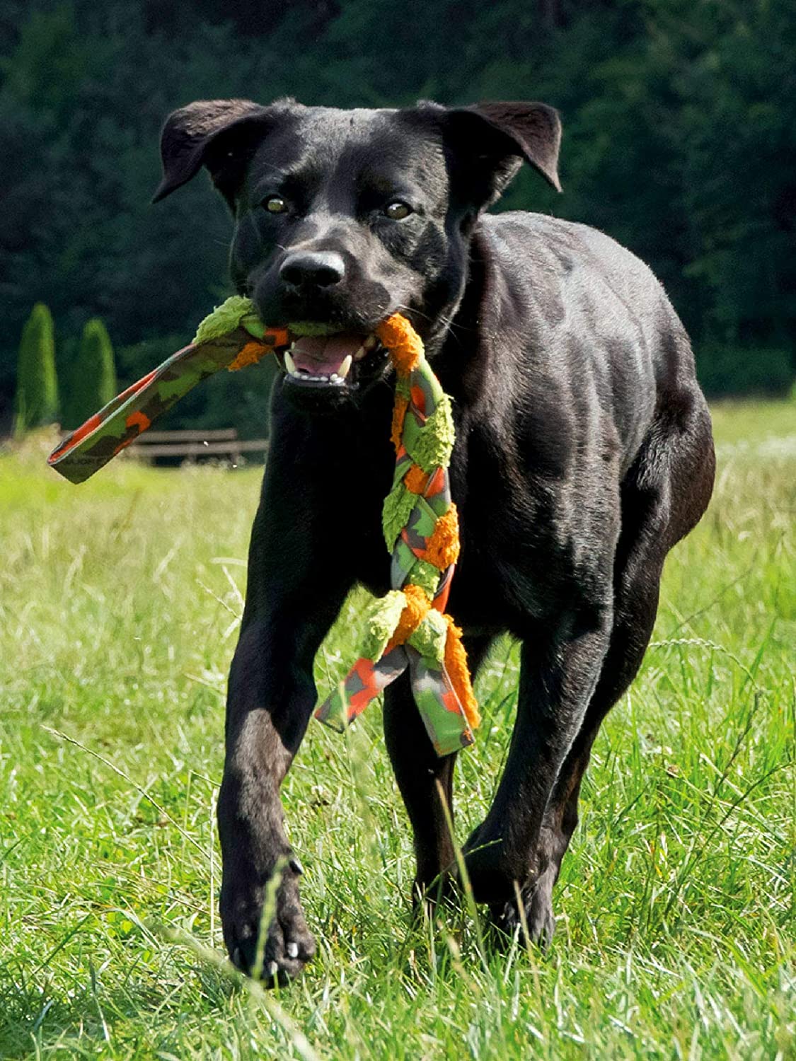 Major Dog Braid Tug Training Toy